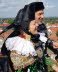 IMG-20200128-WA0021